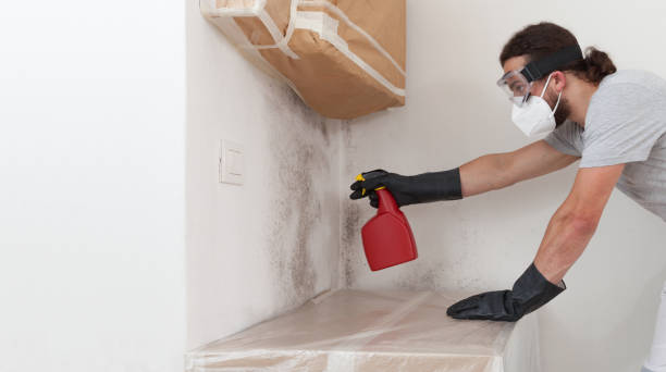Professional Mold Inspection And Testing technician working in Charlevoix, MI
