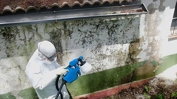 Top rated local Mold Inspection And Testing specialists in Charlevoix, MI